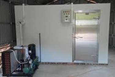 Cách Tối Ưu Hóa Hiệu Suất Kho Lạnh Mini Của Bạn