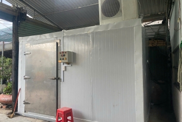 Các Mẹo Sử Dụng Kho Lạnh Mini Hiệu Quả Nhất