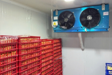 Kho Lạnh Cho Siêu Thị Và Cửa Hàng Tiện Lợi - Gọn Gàng, Tiết Kiệm Điện
