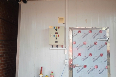 Kho Lạnh Mini Có Phải Là Sự Thay Thế Cho Tủ Lạnh?