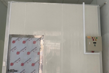 Kho Lạnh Mini Trở Thành Cơn Ác Mộng: Nguyên Nhân Và Giải Pháp