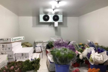 Lắp Đặt Kho Lạnh: Các Bước Quan Trọng Để Bảo Đảm An Toàn Và Hiệu Quả