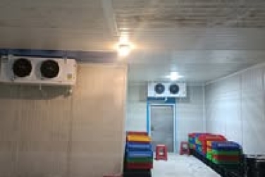 Quy hoạch kho lạnh gắn với cảng biển