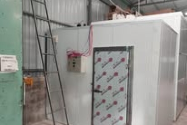 Kho cấp đông: Thực phẩm luôn tươi ngon trong thời gian dài