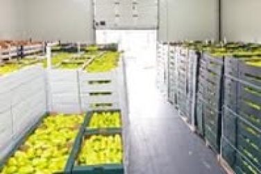 Giải pháp thông minh cho việc theo dõi nhiệt độ hàng hóa 24/7