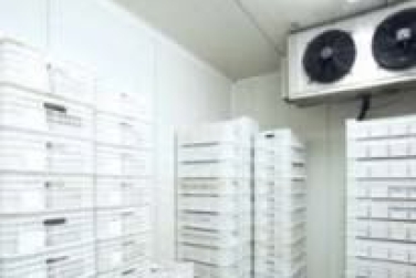 Kinh nghiệm bảo trì kho lạnh: Từng bước để duy trì hiệu suất - Kim Ngọc Đăng