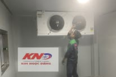 Dịch vụ hỗ trợ khẩn cấp và sự trung thành