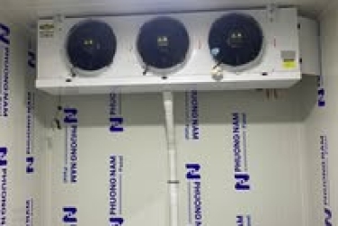 Trải nghiệm kho lạnh hiện đại và lợi ích bất ngờ mà bạn chưa từng nghĩ đến!