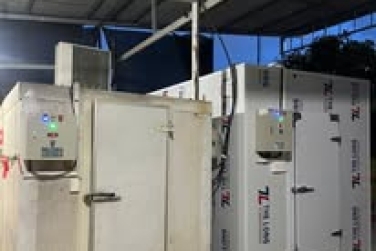 Khám Phá Bí Quyết Giúp Duy Trì Chất Lượng Thực Phẩm Hoàn Hảo Khi Sử Dụng Kho Lạnh - Kim Ngọc Đăng