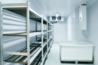 Tại sao kho lạnh đạt chuẩn lại giúp giảm thất thoát nông sản lên đến 40%?