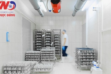 Lợi ích khi thi công kho lạnh trọn gói tại Kim Ngọc Đăng