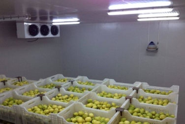 Những tiêu chuẩn cần đáp ứng của kho lạnh bảo quản nông sản