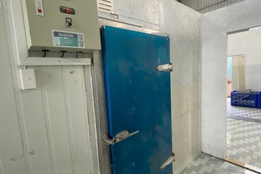 Kho Lạnh Bị Sốc Nhiệt – Nguyên Nhân Ít Ai Biết