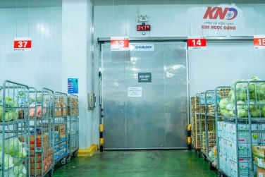 Hiệu Suất Kho Lạnh Bị Ảnh Hưởng Bởi Những Yếu Tố Nào? Giải Mã Cùng Kim Ngọc Đăng