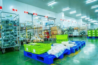 Kim Ngọc Đăng – Thi Công Kho Lạnh Từ Bình Thường Đến Cao Cấp, Đảm Bảo Chất Lượng