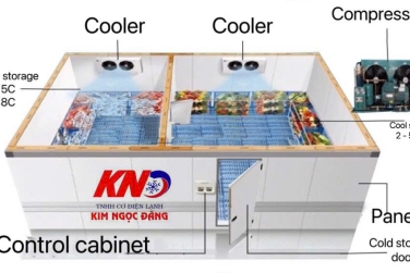 Cạnh Tranh Giá Cả - Đồng Hành Chất Lượng: Vì Sao Chọn Kim Ngọc Đăng Thi Công Kho Lạnh?