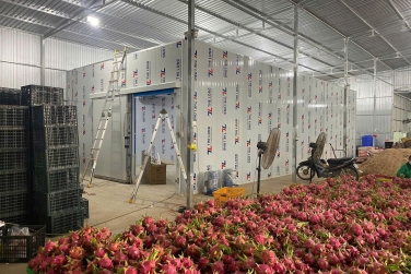 CHIẾN LƯỢC TỐI ƯU CHI PHÍ ĐẦU TƯ KHO LẠNH TRONG NỀN KINH TẾ CẠNH TRANH