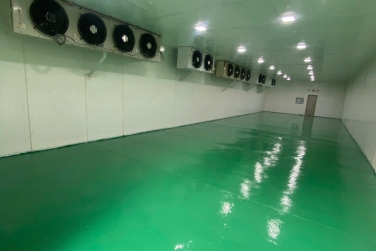 Kho Lạnh 4.0: Tương Lai Của Ngành Bảo Quản Hàng Hóa Cùng Kim Ngọc Đăng