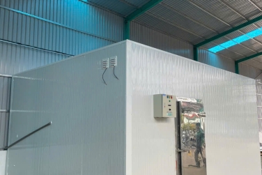 Lắp đặt kho lạnh trọn gói: Từ máy bình dân đến cao cấp cùng 