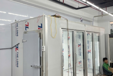 Bài toán kinh tế: Đầu tư kho lạnh công nghiệp có thực sự tiết kiệm hơn tủ lạnh
