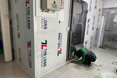 Chuỗi Cung Ứng Lạnh – Mắt Xích Sống Còn Trong Ngành Xuất Nhập Khẩu Thực Phẩm