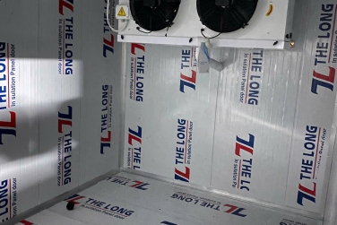 Mùa Ẩm Ướt Khiến Trái Cây Mau Héo – Giải Pháp Mùa Ẩm Ướt – Kẻ Thù Của Trái Cây Tươi