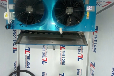 Thời Tiết Oi Bức Làm Tăng Nguy Cơ Hư Hỏng Thực Phẩm Thời Tiết Oi Bức – Kẻ Thù Số Một Của Thực Phẩm