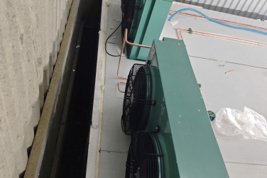 Panel Cách Nhiệt Bao Nhiêu Tỉ Trọng Thì "Vừa Vặn" Với Kho Lạnh Của Bạn?