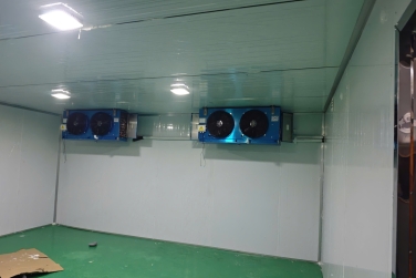 Điện Lạnh Kim Ngọc Đăng Nhận Thi Công Kho Lạnh Các Tỉnh Phía Nam – Giải Pháp Toàn Diện