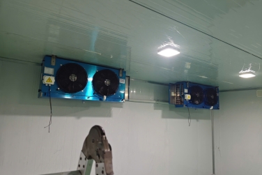 Kho Lạnh Mini Có Thay Thế Được Tủ Đông Gia Đình? Kim Ngọc Đăng Phân Tích Chi Tiết