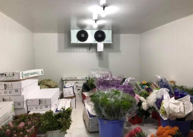 Cold storage for preserving fresh flowers in Lam Dong