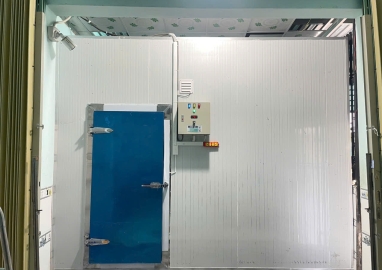 Cold storage for frozen seafood in Binh Duong