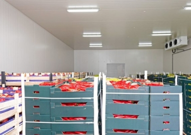 Cold storage for fruit preservation in District 8