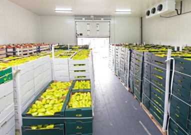 Cold storage for fruit in Soc Trang