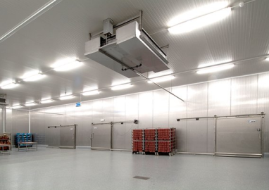 Liquidated Cold Storage Warehouse