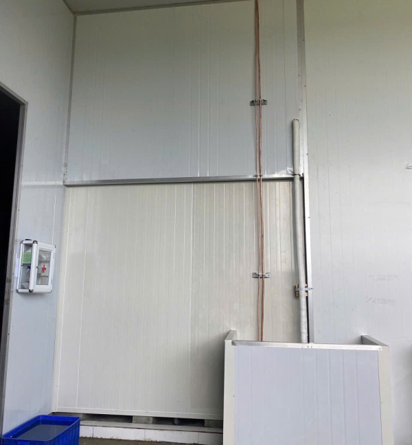 Kho trữ đông gà vịt 24,64m³ tại Long An | Panel PU 100mm | Máy nén 7.5HP | Nhiệt độ -18°C đến -20°C – Kim Ngọc Đăng