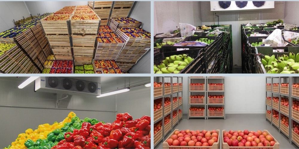 Kho lạnh bảo quản nông sản