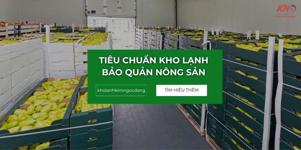 Những tiêu chuẩn cần đáp ứng của kho lạnh bảo quản nông sản
