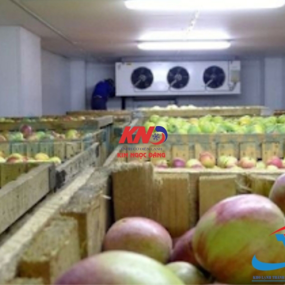 cold-storage-for-fruit-in-dong-thap