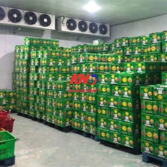 cold-storage-for-fruit-at-thu-duc-wholesale-market